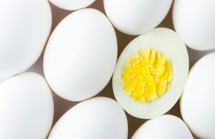 egg vs protein